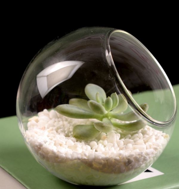 斜口玻璃瓶儲物罐 斜口玻璃生態瓶 斜口展示瓶 植物造景瓶 斜口瓶 玻璃瓶儲物罐 苔蘚生態瓶 植物造景瓶,密封罐 茶葉罐 花草茶罐,生態瓶