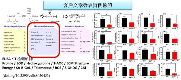 ZGEENBIO ZebraFish ROS ELISA kit 96T ZebraFish ROS ELISA kit 96T ,ELISA KIT,免疫分析套組,酵素免疫吸附試驗法試劑組