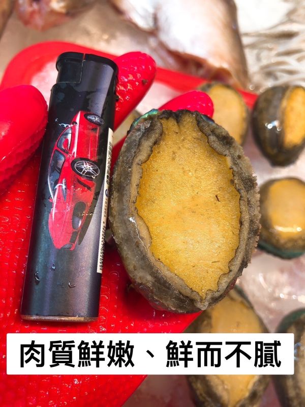 （免運組）鮑魚2包共24顆(每包1000G) 輕鬆買海鮮,買海鮮首選,海鮮宅配專家,網購海鮮,