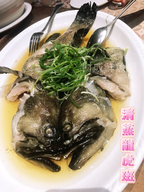 龍膽石斑魚每隻600G(去鰓去肚去鱗) 石斑魚每隻600G(去鰓去肚去鱗)