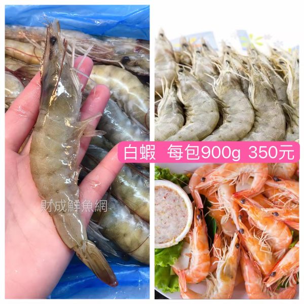 白蝦(每包900G) 輕鬆買海鮮,買海鮮首選,海鮮宅配專家,網購海鮮,