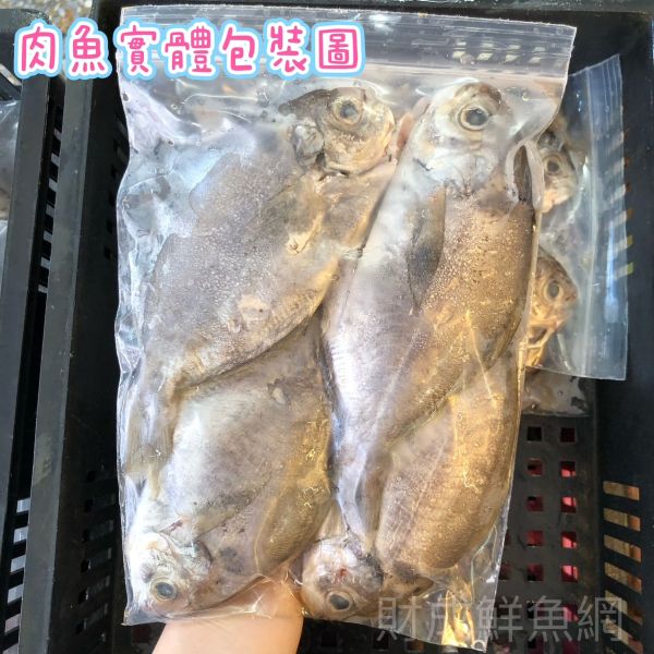 肉魚12隻(每隻120-150G) 鬆買海鮮,買海鮮首選,海鮮宅配專家,網購海鮮,滿額免運,讓您簡單料理海鮮,海鮮美味上桌,買魚的好地方。