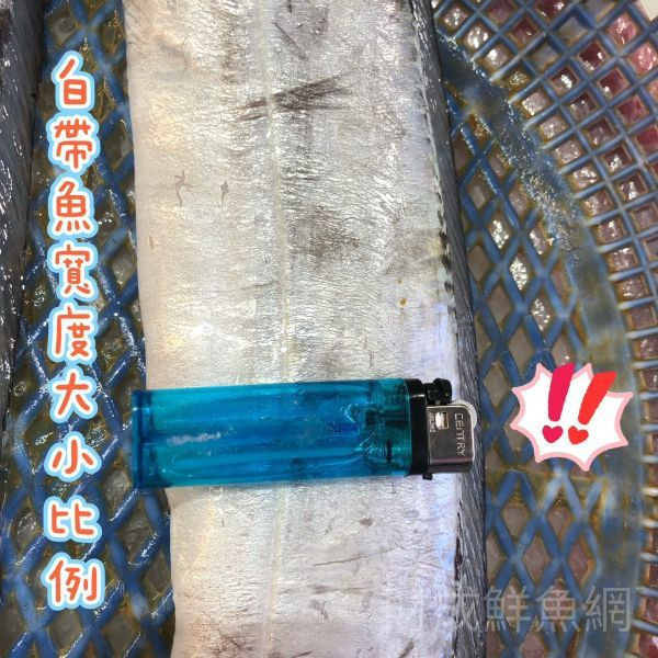 (免運組)白帶魚每隻600g以上*4隻（未殺前重量） 輕鬆買海鮮,買海鮮首選,海鮮宅配專家,網購海鮮,