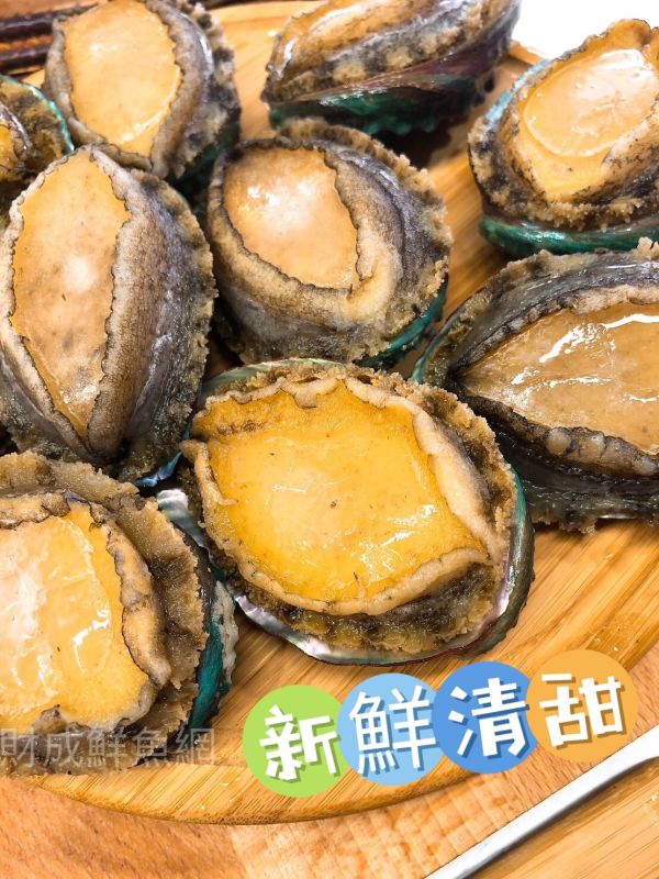 （免運組）鮑魚2包共24顆(每包1000G) 輕鬆買海鮮,買海鮮首選,海鮮宅配專家,網購海鮮,