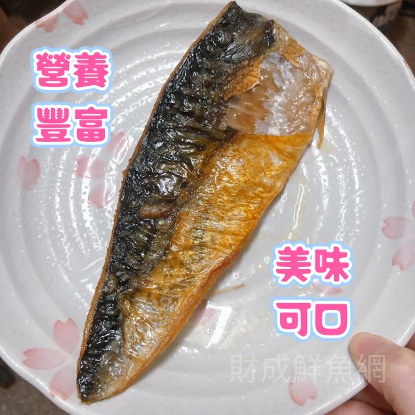 嚴選挪威鯖魚片5片/10片(每片130G) 輕鬆買海鮮,買海鮮首選,海鮮宅配專家,網購海鮮,滿額免運,讓您簡單料理海鮮,海鮮美味上桌,買魚的好地方。