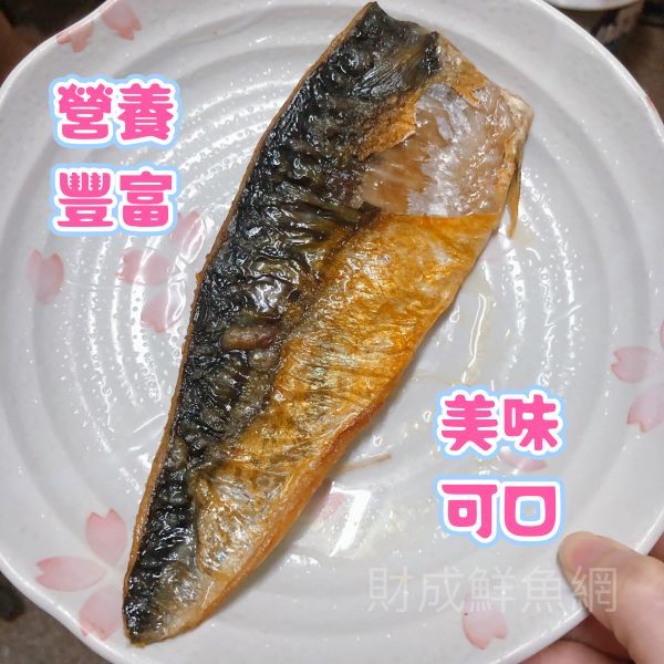 (免運組)嚴選挪威鯖魚片22片(每片130G) 輕鬆買海鮮,買海鮮首選,海鮮宅配專家,網購海鮮,滿額免運,讓您簡單料理海鮮,海鮮美味上桌,買魚的好地方。