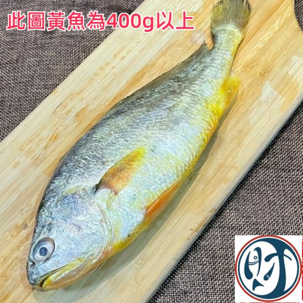 黃魚3隻/4隻(去鰓去肚去鱗+真空) 嚴選產地冷凍海鮮食材,低溫宅配,滿額免運,讓您簡單料理海鮮。烤肉、火鍋、露營、冷凍蝦宅配/批發/零售海鮮食材. 海鮮食材專區專區.