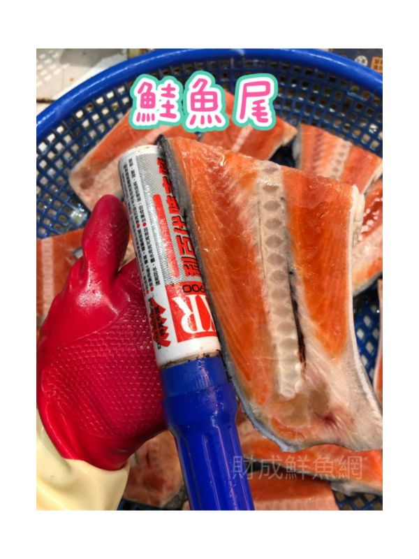 (免運組)鮭魚尾(每包2KG約12-16片) (免運組)鮭魚尾