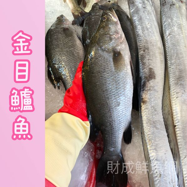 金目鱸魚每隻600G以上(去鰓去肚去鱗+真空) 輕鬆買海鮮,買海鮮首選,海鮮宅配專家,網購海鮮,滿額免運,讓您簡單料理海鮮,海鮮美味上桌,買魚的好地方。