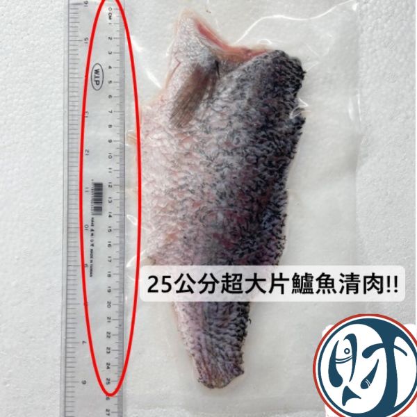 去刺鱸魚片(每片200-300G真空包裝) 輕鬆買海鮮,買海鮮首選,海鮮宅配專家,網購海鮮,滿額免運,讓您簡單料理海鮮,海鮮美味上桌,買魚的好地方。