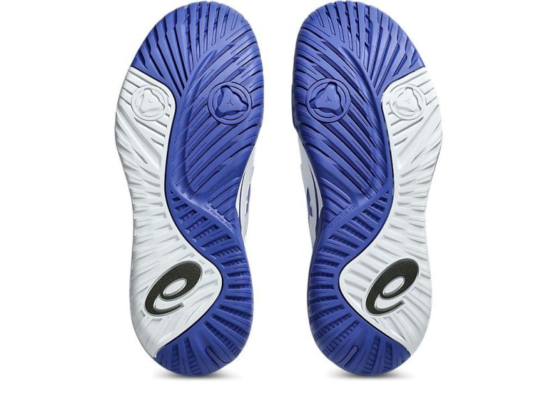 ASICS 亞瑟士 GEL-RESOLUTION X 2E 寬楦 男款 網球鞋 美網配色 網球鞋
美網
asics