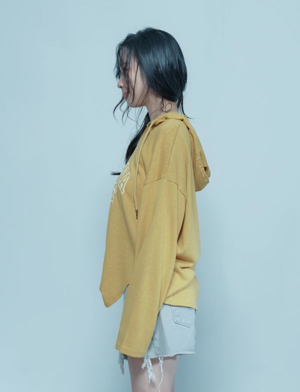 ZinD [ SALE 英文Ｕ領針織連帽衫 ] 2色 2608270 ZinD,zind,ZD,zooindrawer,zoo in 抽屜,動物園,丹寧,外套,外套富翁,洋裝,韓國襪子,年終慶,雙11,雙12,黑五,百搭,合購價,自訂,春裝,Tshirt,首爾