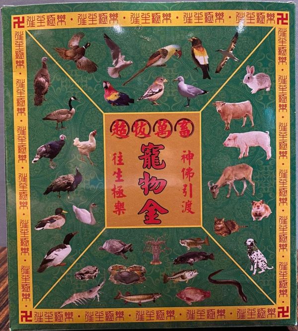 寵物金＊盒子金 寵物金＊盒子金