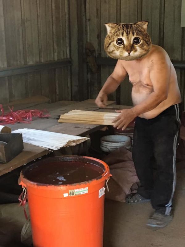 【特級越南惠安沉香】尺３／尺６。半斤裝 特級越南惠安沉香 