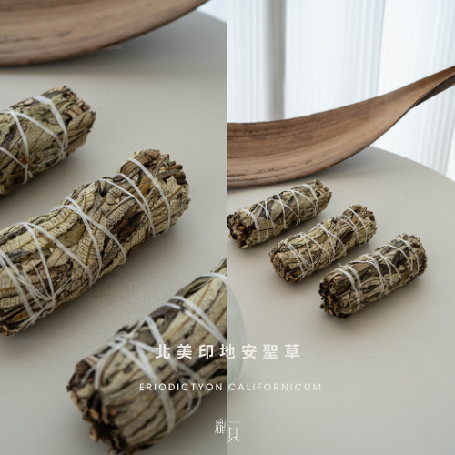 《空間淨化加倍・療癒師推薦》鼠尾草 