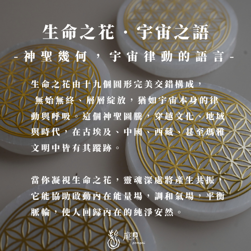 透石膏生命之花淨化盤 