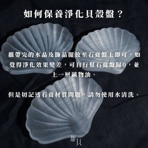 透石膏淨化貝殼盤 