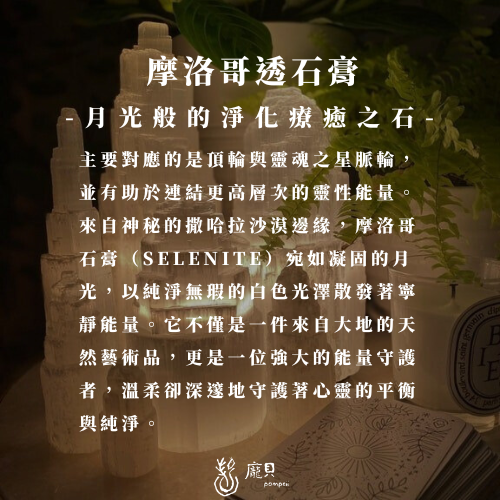 透石膏生命之花淨化盤 