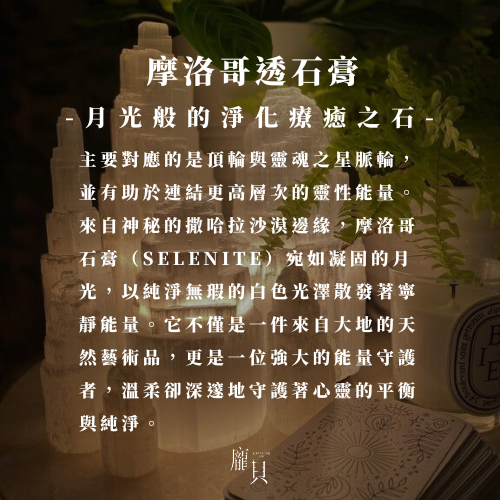 透石膏淨化貝殼盤 