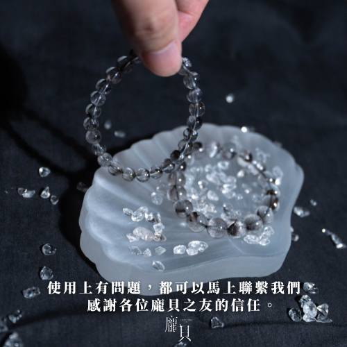 透石膏淨化貝殼盤 