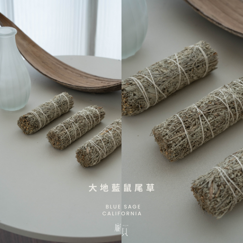 《空間淨化加倍・療癒師推薦》鼠尾草 