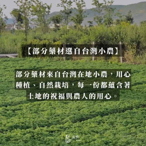 貴人桃花令｜淨化海鹽 