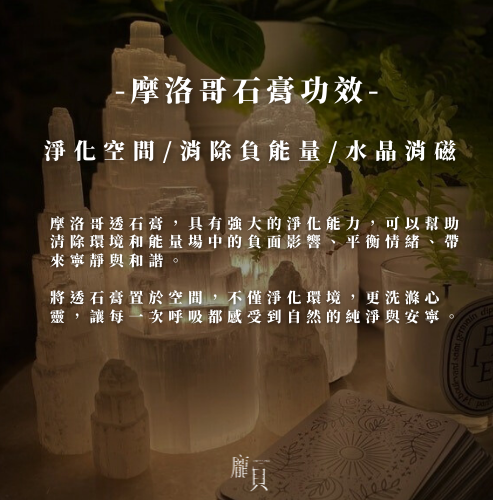 原創透石膏淨化架｜胡桃木版本 