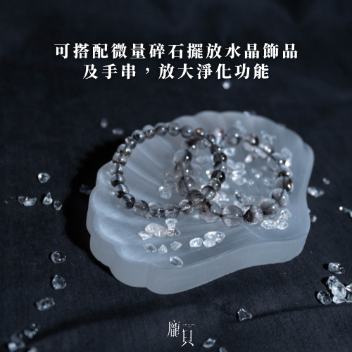 透石膏淨化貝殼盤 