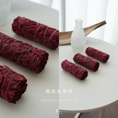 《空間淨化加倍・療癒師推薦》鼠尾草 