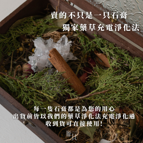 原創透石膏淨化架 