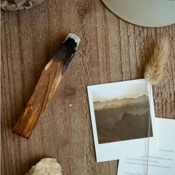 祕魯高油聖木 聖木 水晶淨化 聖木淨化 祕魯聖木 空間淨化香材 聖木燃燒 天然淨化木條 水晶淨化用具 瑜伽冥想香材