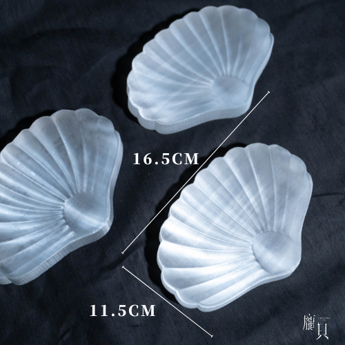 透石膏淨化貝殼盤 