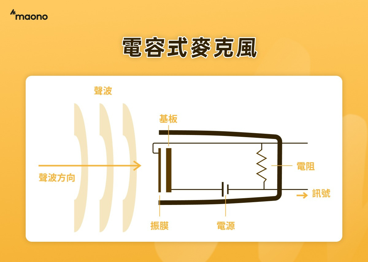 電容式麥克風構造說明