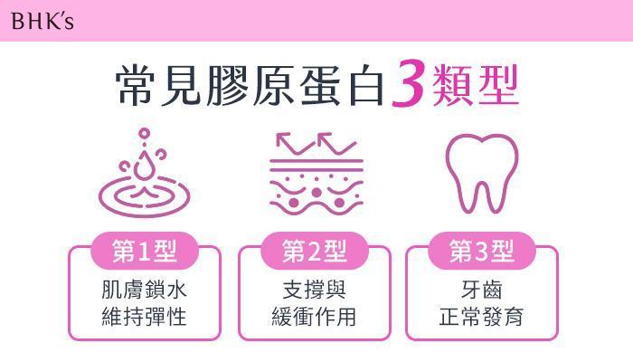 膠原蛋白常見三大類型｜BHK’s