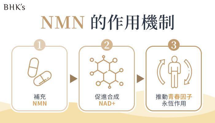 BHK′s NMN的功效