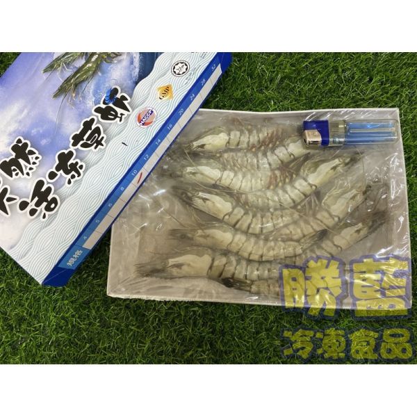 馬來西亞活凍草蝦淨重260g 