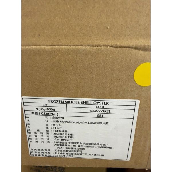 1公斤約12顆日本全殼生蠔1顆約80-100g兵庫生蠔/10顆裝 