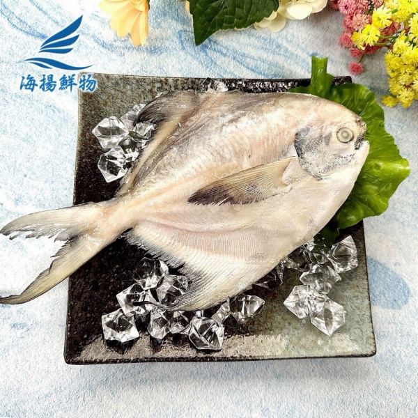 冷凍白鯧300-400g 