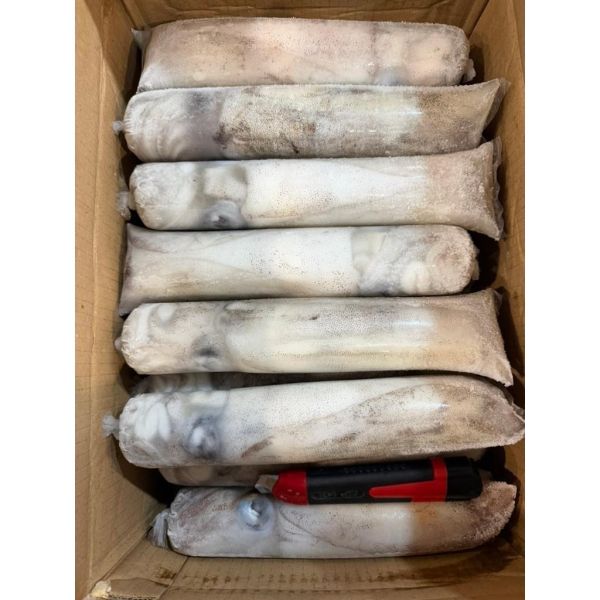 活凍軟絲3A500-600g/4A200-300g 