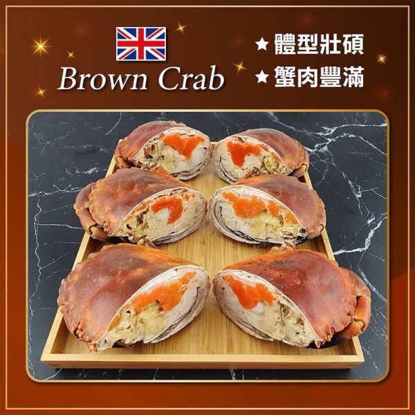清水牌英國熟凍麵包蟹600-800g 