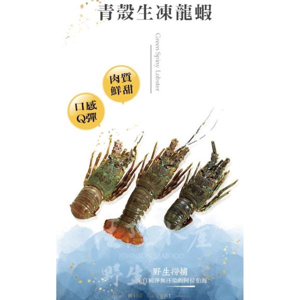 葉門小龍蝦/巴西龍蝦尾6盎司 