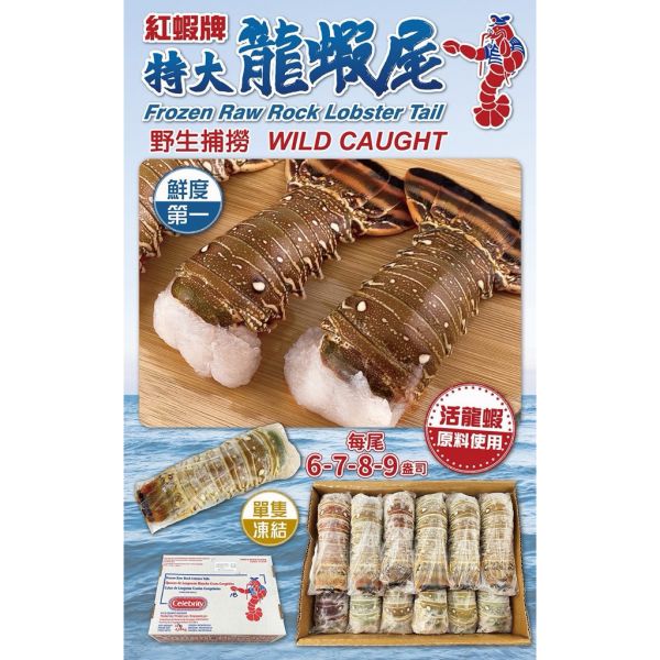 葉門小龍蝦/巴西龍蝦尾6盎司 