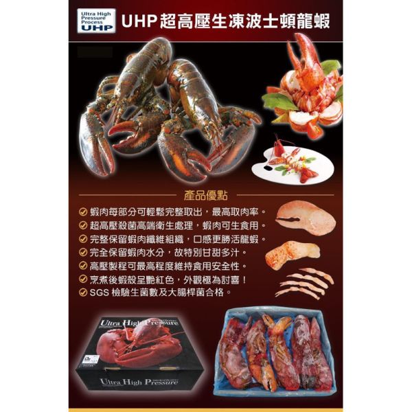 葉門小龍蝦/巴西龍蝦尾4盎司 