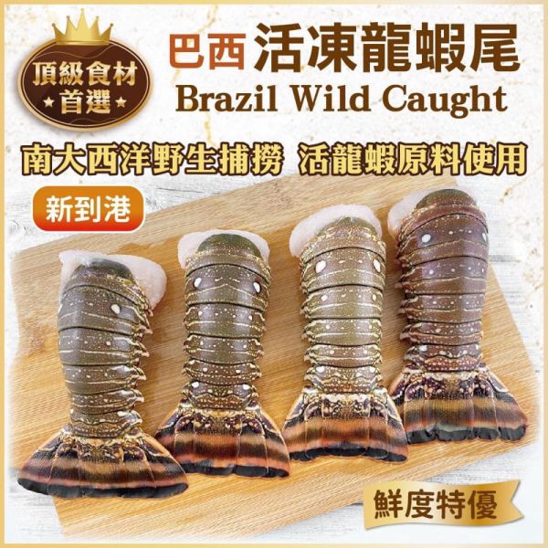 葉門小龍蝦/巴西龍蝦尾4盎司 