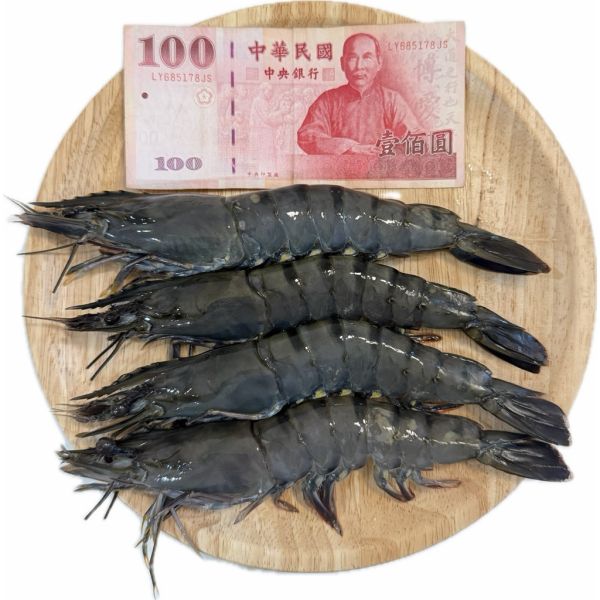 馬來西亞活凍草蝦淨重260g 