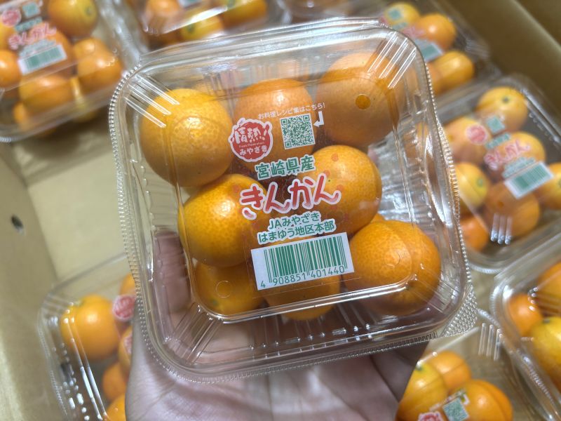 日本宮崎縣溫室蜜金桔 甜好吃不酸 可連皮一起食用 