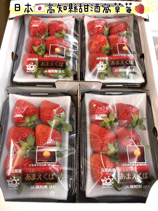 日本高知縣 新品種あまえくぼ 甜酒窩草莓 