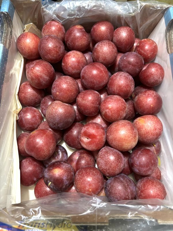 智利空運甜滋滋櫻桃李 3J規格大果 直接吃就是甜的 