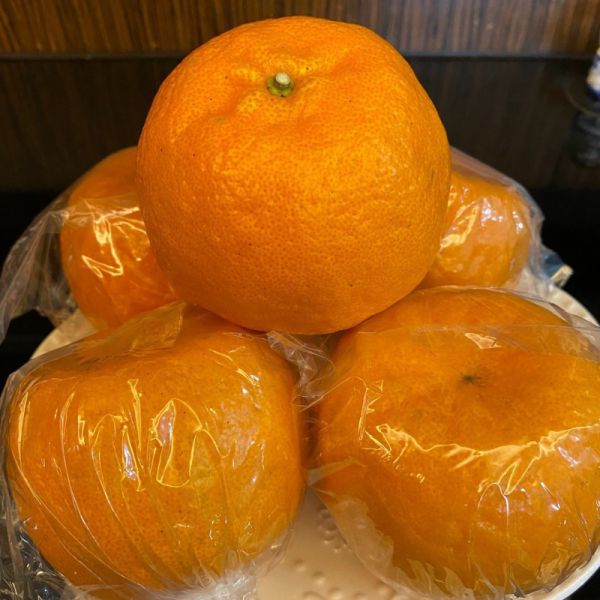 台中東勢精選套袋椪柑 甜度高水分飽滿 完全0酸氣 