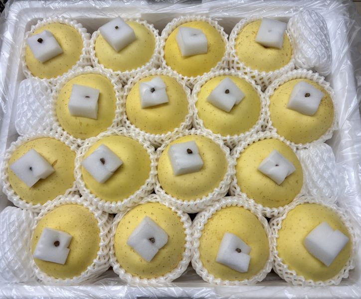 日本青森縣金星牛奶蘋果 一級品等級 口感細緻香甜 脆度一般 